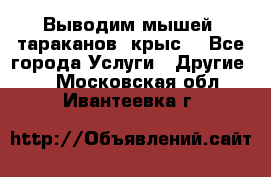 Выводим мышей ,тараканов, крыс. - Все города Услуги » Другие   . Московская обл.,Ивантеевка г.